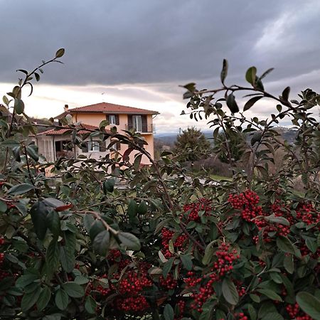 La Casa Di Mezzo-Affitti Brevi-Zona Ospedali Villa Busso ภายนอก รูปภาพ