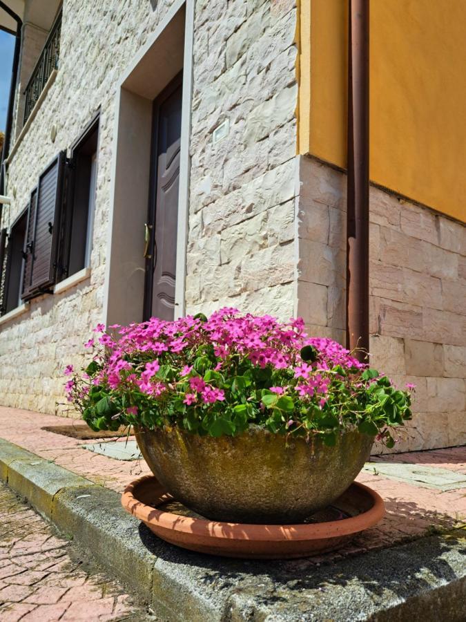 La Casa Di Mezzo-Affitti Brevi-Zona Ospedali Villa Busso ภายนอก รูปภาพ