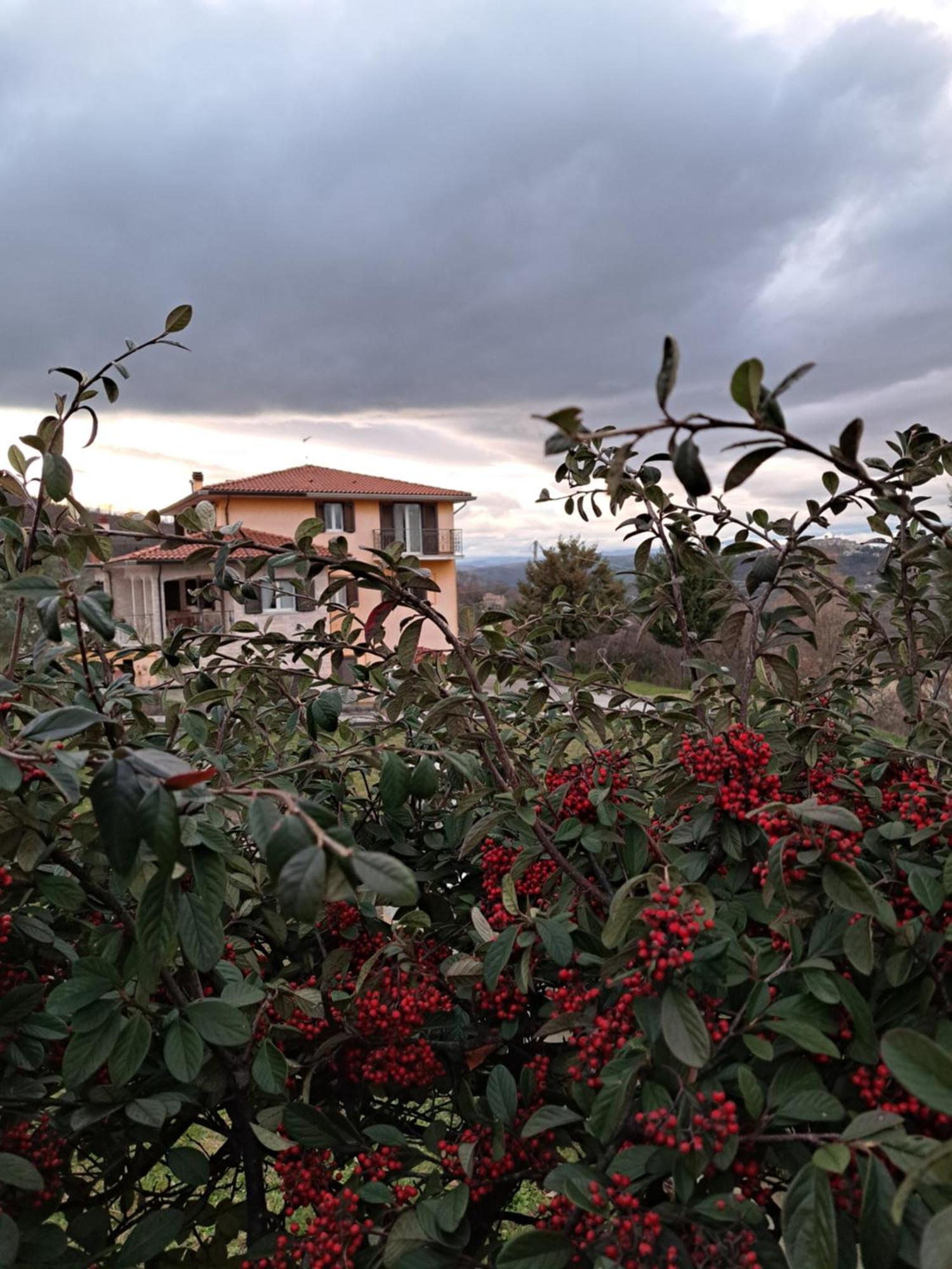 La Casa Di Mezzo-Affitti Brevi-Zona Ospedali Villa Busso ภายนอก รูปภาพ